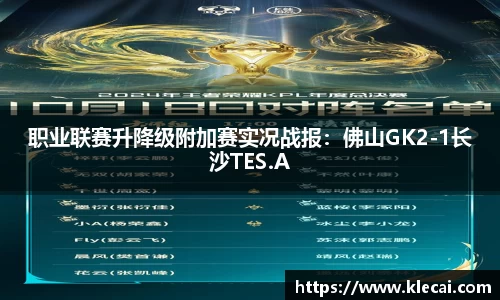 职业联赛升降级附加赛实况战报：佛山GK2-1长沙TES.A