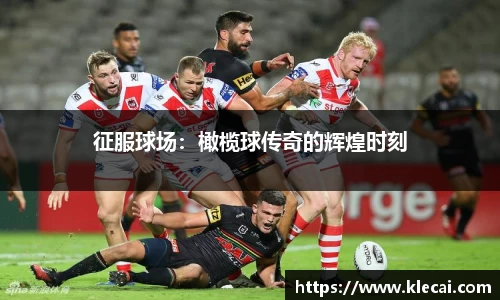 征服球场：橄榄球传奇的辉煌时刻